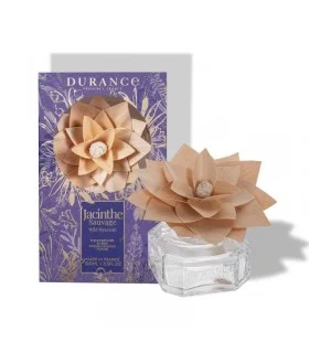 Fleur parfumée jacinthe sauvage